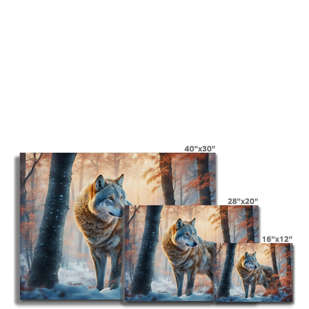 Winter Wolf Canvas