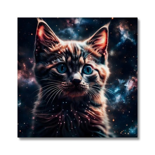 Kitten made of Galaxies Canvas