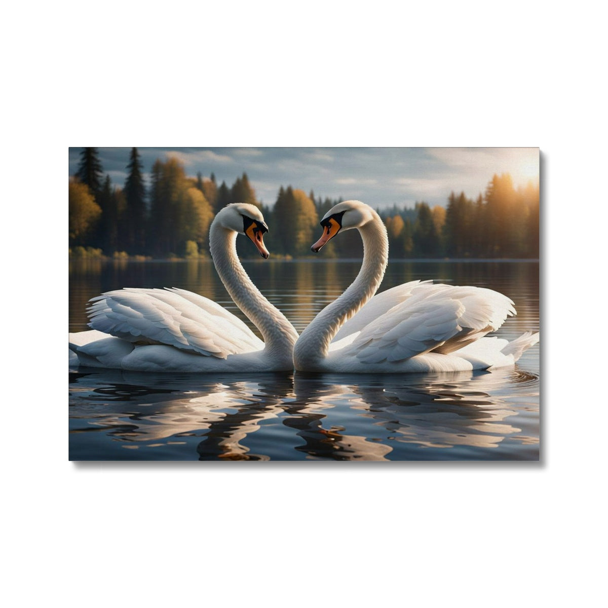 Swan Pair Canvas